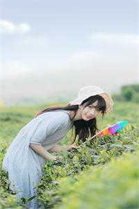 苏雪江希辰写的小说离婚后，我重获新生