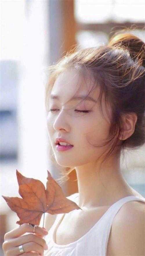 重生之鹏程万里精彩