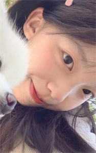 陈斌高婉君写的小说桃色仕途全文阅读