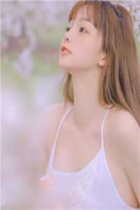 小说不负如来却负卿(苏若兮江白平措)