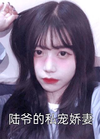 李福海宋观潮的小说官途风云