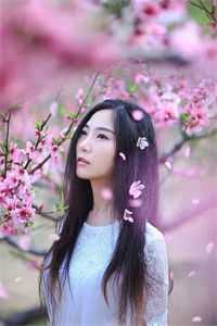 官场之手眼通天番外