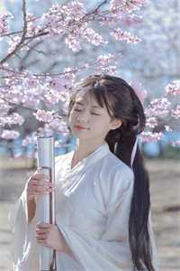 我死后四年，影后妻子开始后悔
