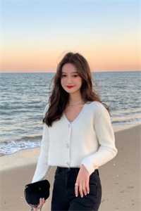 白舒周淮
