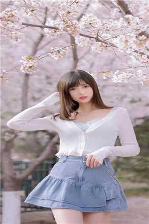 我决定不再爱他后，他后悔了叶南辰唐婉最新章节