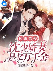 星河灿烂，爱意不止 笔趣阁