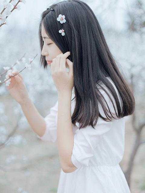我决定不再爱他后，他后悔了叶南辰唐婉最新章节