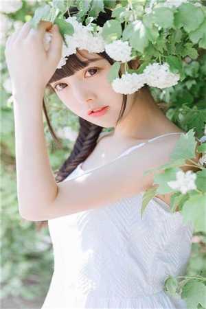 闲庭莫畏不芳菲