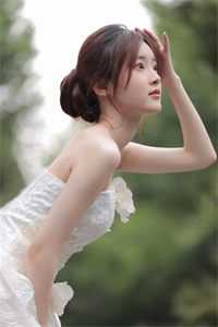 小说冬风与他皆无情(陆月白苏晩)