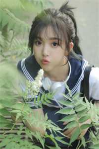 春日迟迟不相逢小说全文免费阅读