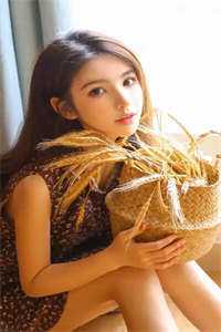 二婚玫瑰完结版