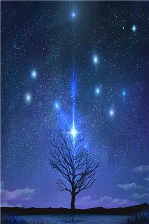 暗夜星辰落暗卫祝星辰小说