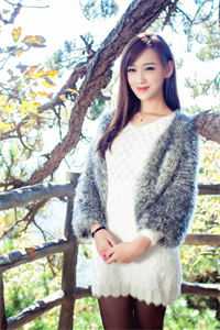 陈斌高婉君的小说桃色仕途