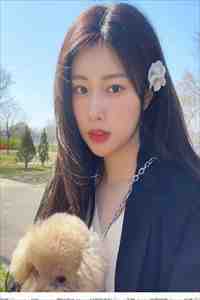 海棠无香，爱人无爱