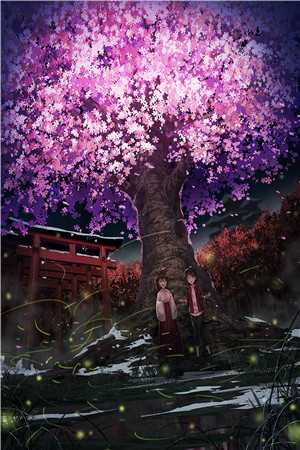雨送黄昏花易落林淑欣白燕之小说完结版
