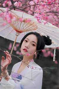 官嫂畅销