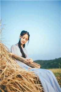 官场受挫后，我被女朋友甩了高质量好文