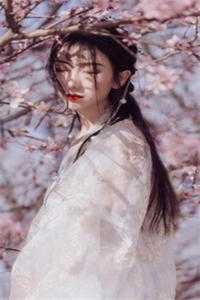 重生之鹏程万里番外