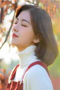 愿我如星君如月小说全文免费阅读