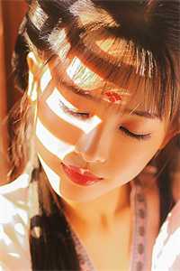 位居省委，开局被妻子举报无错版