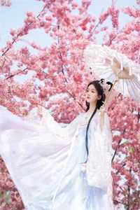 江雪曦许远舟的小说特工老婆变心后，我选择假死离开小说阅读