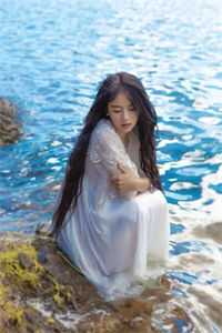 权道之夫人们太给力了完结版小说全章节目录阅读