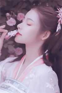青云：官途贵人小说结局