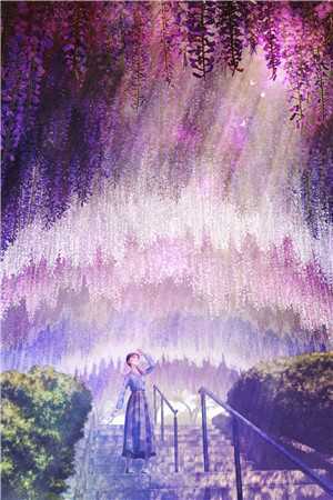 似野火小说全文免费阅读