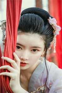 秦朗徐有容的小说权倾美人香