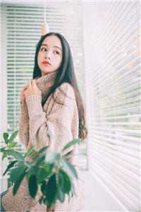 张怀义张楚岚的小说激活天命系统后，我靠签到获取奖励免费阅读