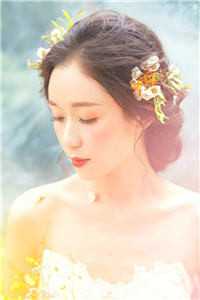 十年陈事只如风傅正雷沈宜君小说