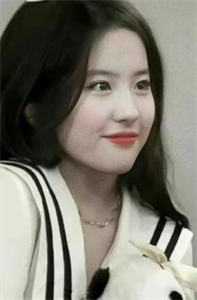 偶遇权香，从基层开始辉煌腾达梁健陆媛无删减全文