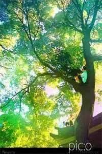 为给白月光放烟花，老公害我爸和工人惨死矿下全文+后续+结局