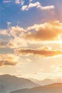 穿书：带崽随军后我被宠上天结局+番外