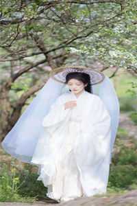 重生之鹏程万里:全章+后续
