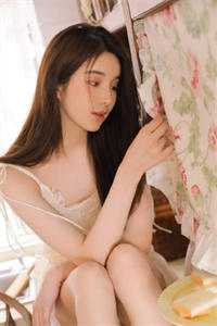 铁腕镇长前言+后续