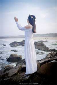 官海沉浮之美人泪前文+番外