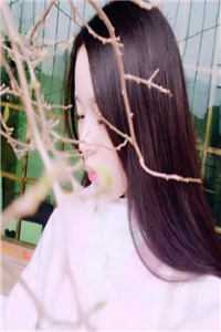 不如怜取眼前人乔若妤沈寒川全章节免费阅读