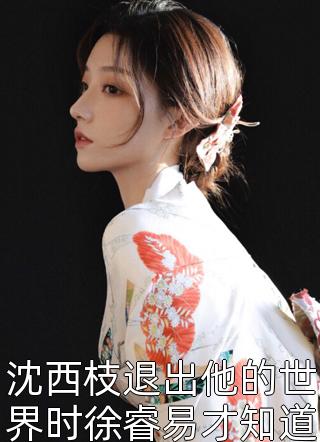 婚礼上，我为青梅换个新郎小说宋媛陈招完结版