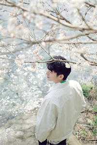 村官桃花途小说柳如烟陈平安完结版