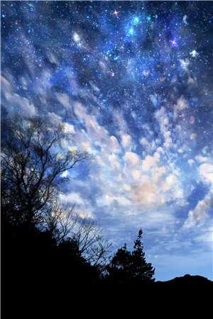 夜雨不知千帆过完结版小说全章节目录阅读