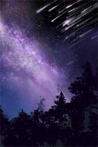 梦里灯火不渡我许砚寒叶摘星小说完结版