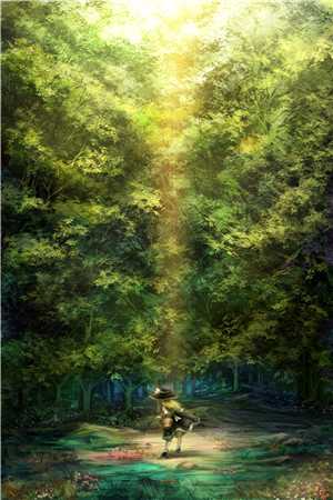 谢清野温知夏的小说此后余生皆孤寂小说阅读
