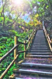 爱意皆离，大梦终醒:结局+番外+完结