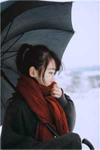 大展宏图后续+全文
