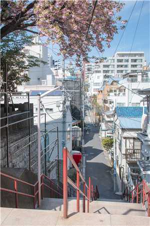 生死蛊结局+番外