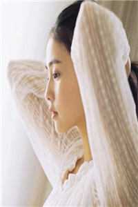 晚明赘婿张辰夏花:(番外)+(全文)