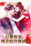 十三小说林夏穆微完结版