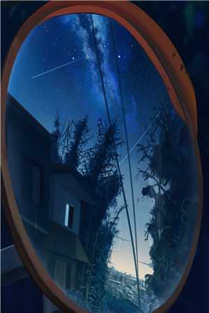 随星遗忘在黑夜完结版小说贺寒昭宋晚沁
