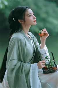 画地为牢叶棠沈城